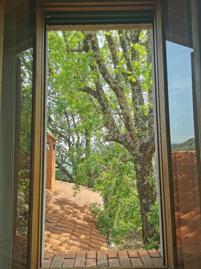 L'Albero Del Cioccolato Bed and Breakfast Pigna Buitenkant foto